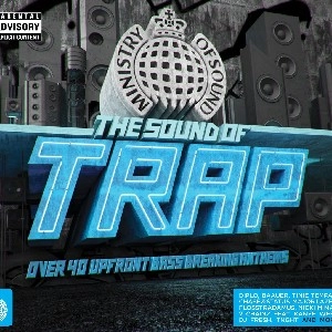V.A.(DJ FRESH VS DIPLO,NICKI MINAJ,A-TRAK...)  / SOUND OF TRAP