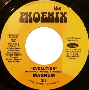 MAGNUM / マグナム / EVOLUTION / YOUR MIND