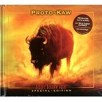PROTO-KAW / プロトカウ / BEFORE CAME AFTER: MEDIABOOK