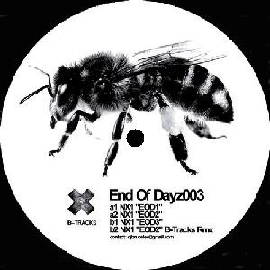 NX1 / END OF DAYZ 003