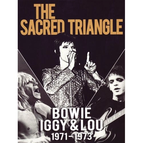 V.A. / オムニバス / BOWIE IGGY & LOU 1971-73