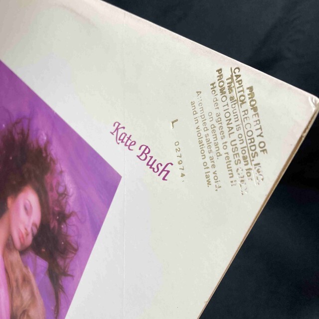 HOUNDS OF LOVE / KATE BUSH / ケイト・ブッシュ / オールドロック
