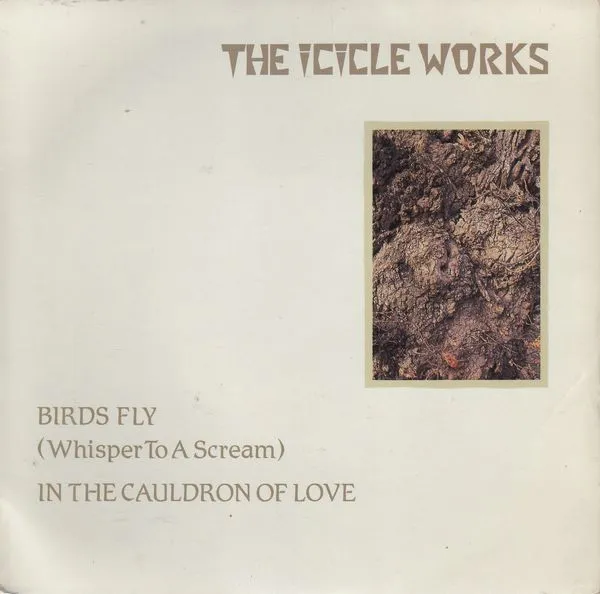 ICICLE WORKS / アイシクル・ワークス / BIRDS FLY