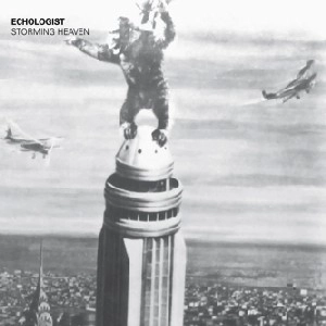 ECHOLOGIST / STORMING HEAVEN