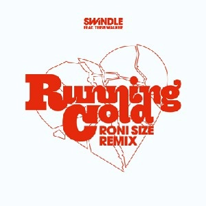 SWINDLE FT. TERRI WALKER / RUNNING COLD(RONI SIZE REMIX)