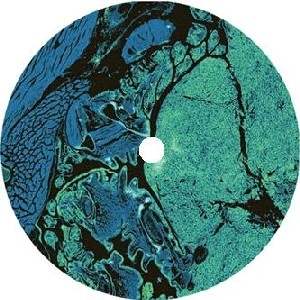 PRIS / UNBEKNOWN TO US