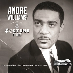ANDRE WILLIAMS / アンドレ・ウィリアムス / FORTUNE OF HITS