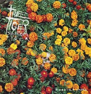 TIGER! SHIT! TIGER! TIGER! / タイガー! シット! タイガー! タイガー! / FOREVER YOUNG