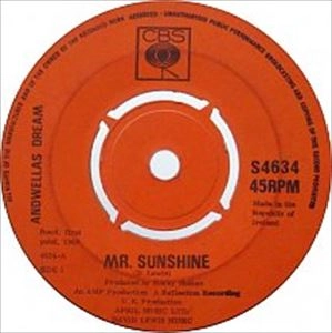 ANDWELLAS DREAM / アンドウェラズ・ドリーム / MR.SUNSHINE