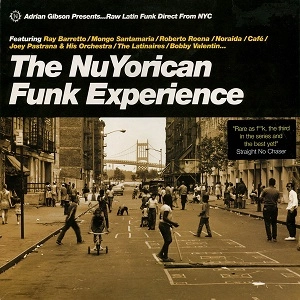 V.A. / オムニバス / NUYORICAN FUNK EXPERIENCE