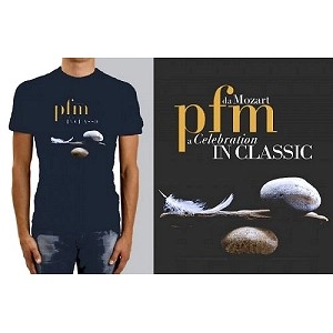 PFM / ピー・エフ・エム / T-SHIRT PFM GRAY M