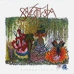 SYNAESTHESIA / SYNAESTHESIA