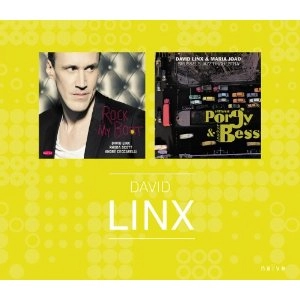 DAVID LINX / デヴィッド・リンクス / ROCK MY BOAT + A DIFFERENT PORGY ANS ANOTHER BESS