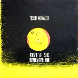 CAN'T YOU SEE / TOSHIKI KADOMATSU / 角松敏生 / 日本のロック・J-POP
