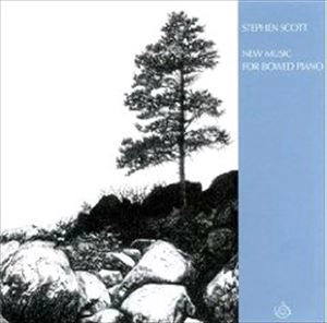 STEPHEN SCOTT / ステファン・スコット / NEW MUSIC FOR BOWED PIANO
