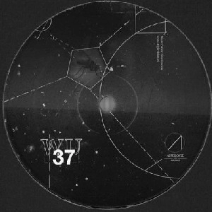 DEVELOPER / WESTERN WAYS EP