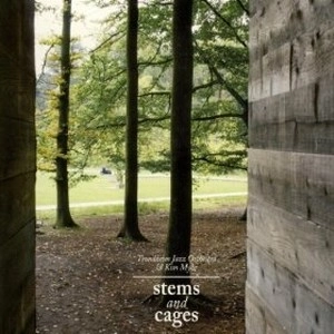 TRONDHEIM JAZZ ORCHESTRA / トロンハイム・ジャズ・オーケストラ / STEMS AND CAGES