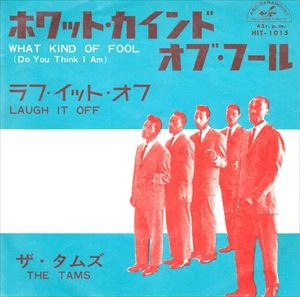 TAMS / ホワット･カインド･オブ･フール