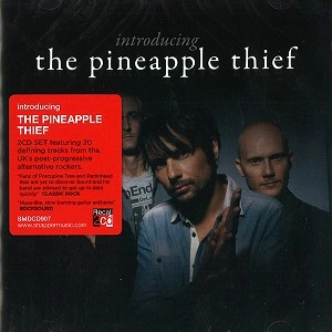 THE PINEAPPLE THIEF / パイナップル・シーフ / INTRODUCNING