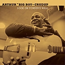 ARTHUR BIG BOY CRUDUP / アーサー・ビッグ・ボーイ・クルーダップ / ルック・オン・ヤンダーズ・ウォール / LOOK ON YONDER'S WALL