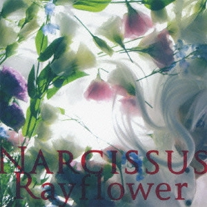 Rayflower / レイフラワー / Narcissus / NARCISSUS