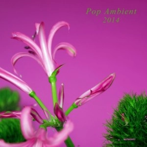 V.A.(POP AMBIENT) / POP AMBIENT 2014