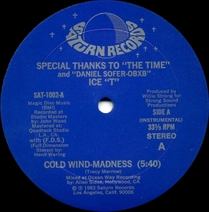 ICE-T / アイス-T / COLD WIND-MADNESS / THE COLDEST RAP