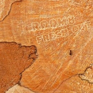 SVEN BERGGREN / ROOM 8