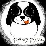 アサカワアサシン / アサカワアサシン
