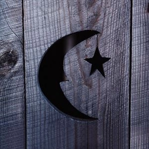 PHISH / フィッシュ / FARMHOUSE