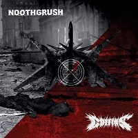 NOOTHGRUSH + COFFINS / SPLIT<GREY VINYL>
