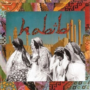 HABIBI / ハビビ / HABIBI