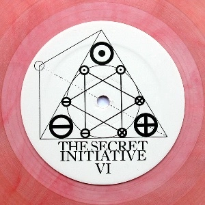 SECRET INITIATIVE / Ⅵ / 6