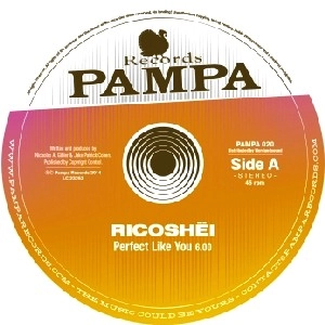 RICOSHEI/DAVE DK / PERFECT LIKE YOU/WOOLLOOMOOLOO