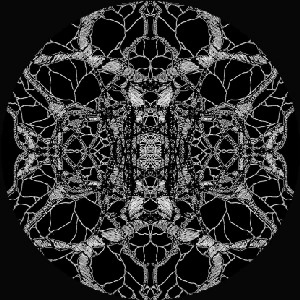 PFIRTER / NEW STATE Of CONSCIOUSNESS RMXS