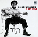 BIG JOE WILLIAMS / ビッグ・ジョー・ウィリアムズ / アイ・ガッド・ワイルド / I GOT WILD