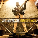 JOE LOUIS WALKER / ジョー・ルイス・ウォーカー / ホーネッツ・ネスト / HONET'S NEST