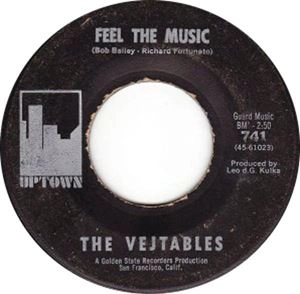 VEJTABLES / FEEL THE MUSIC / SHADOWS
