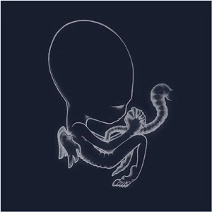 SIGUR ROS / シガー・ロス / AGAETIS BYRJUN