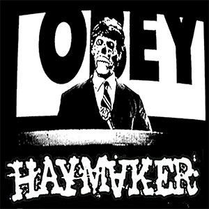 HAYMAKER / LET THEM ROT