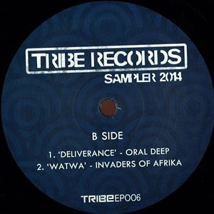 V.A.(DRUM,DANCE RELEASE,DANCE RELEASE...) / TRIBE RECORDS SAMPLER 2014