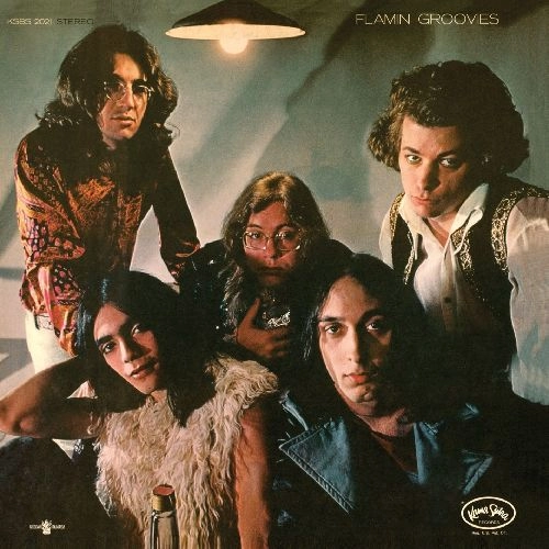 FLAMIN' GROOVIES / フレイミン・グルーヴィーズ / FLAMINGO