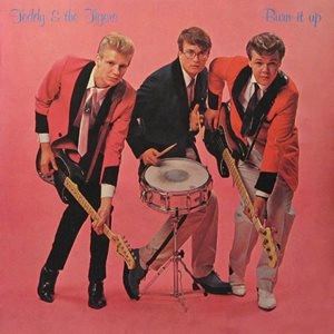 TEDDY & THE TIGERS / BURN IT UP