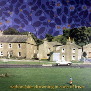 NATHAN FAKE / ネイサン・フェイク / DROWNING IN A SEA OF LOVE