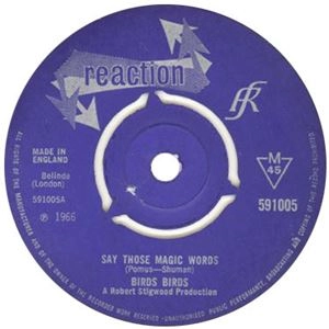 BIRDS BIRDS / SAY THOSE MAGIC WORD