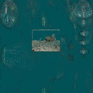 HIEROGLYPHIC BEING / ヒエログリフィック・ビーイング / ACID RAIN UNDER THE STARS