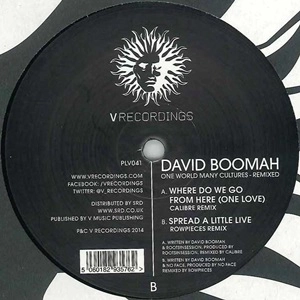 DAVID BOOMAH / ONE WORLD MANY REMIXES