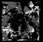 CARLOS CASAS / カルロス・カザス / PATAGONIAN FIELD RECORDINGS