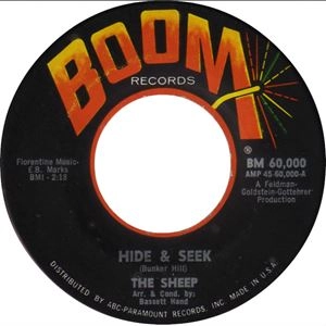 SHEEP (GARAGE ROCK) / HIDE & SEEK
