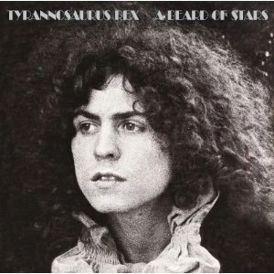 TYRANNOSAURUS REX / ティラノザウルス・レックス / A BEARD OF STARS